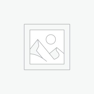 Dunk Low Premium "Toasted"